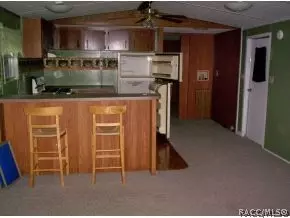 165 Daisy, Inglis, FL 34449 photo 6