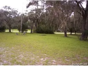 165 Daisy, Inglis, FL 34449 photo 9
