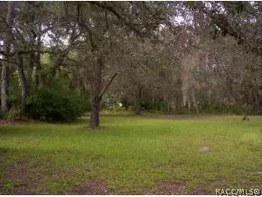 165 Daisy, Inglis, FL 34449 photo 8