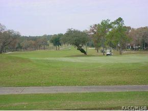 591 E Stratford Rd, Lecanto, FL 34461 photo 5