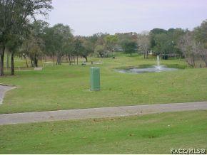 591 E Stratford Rd, Lecanto, FL 34461 photo 2