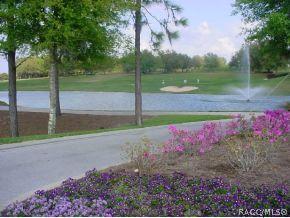 591 E Stratford Rd, Lecanto, FL 34461 photo 4