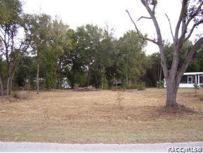 1365 E Silver Thorn, Hernando, FL 34442 photo 1