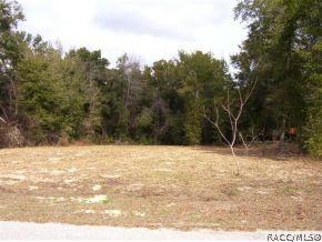 1417 E Silver Thorn Loop, Hernando, FL 34442 photo 1