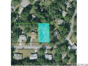 1417 E Silver Thorn Loop, Hernando, FL 34442 photo 2