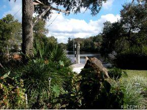 16219 W River Rd, Inglis, FL 34449 photo 22