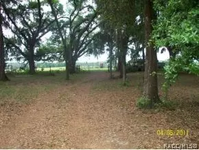 4330 E Amherst, Hernando, FL 34442 photo 2