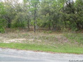 619 E La Salle St, Hernando, FL 34442 photo 1
