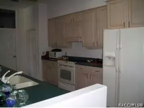 4234 N Pine Vly, Lecanto, FL 34461 photo 6