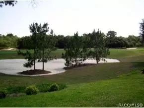 4234 N Pine Vly, Lecanto, FL 34461 photo 7