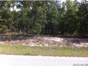 1739 E St James Loop, Inverness, FL 34453 photo 1