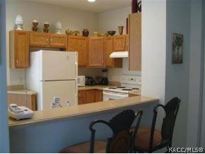 1703 W Spring Meadow Loop, Lecanto, FL 34461 photo 5
