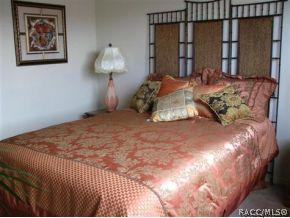 1703 W Spring Meadow Loop, Lecanto, FL 34461 photo 10