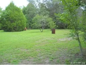 1155 Rockefeller, Hernando, FL 34442 photo 21