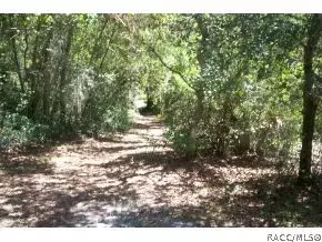7481 N Nature Trl, Hernando, FL 34442 photo 10