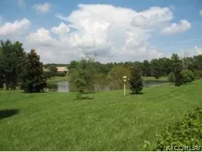 1115 W Lake Valley Ct, Hernando, FL 34442 photo 14