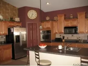 1115 W Lake Valley Ct, Hernando, FL 34442 photo 5