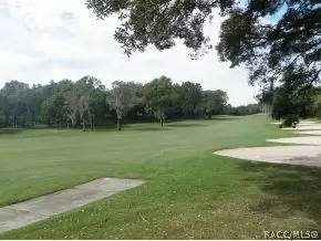 304 E Joplin Ct, Hernando, FL 34442 photo 23