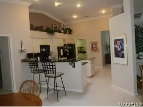 304 E Joplin Ct, Hernando, FL 34442 photo 7