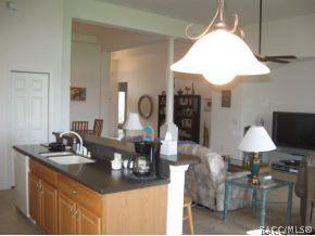 67 W Doerr, Hernando, FL 34442 photo 9