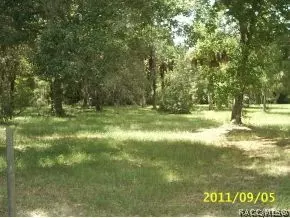 136 Neeld St, Inglis, FL 34449 photo 2