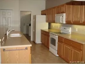1333 W Diamond Shore Loop, Hernando, FL 34442 photo 6