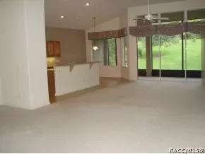 1333 W Diamond Shore Loop, Hernando, FL 34442 photo 3