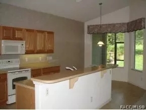 1333 W Diamond Shore Loop, Hernando, FL 34442 photo 7