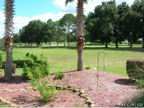 52 E Cumberland Ct, Hernando, FL 34442 photo 23
