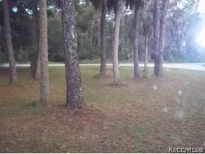 102 Michigan, Inglis, FL 34449 photo 15