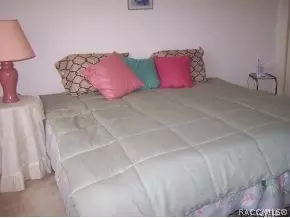 1075 S Softwind Lp, Lecanto, FL 34461 photo 10