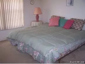 1075 S Softwind Lp, Lecanto, FL 34461 photo 5