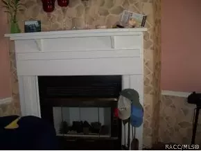 3811 E Art Ln, Hernando, FL 34442 photo 5