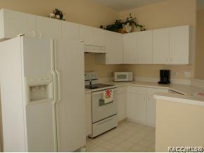 845 W Cockatiel Loop, Hernando, FL 34442 photo 21