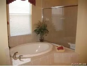 491 W Mickey Mantle Path, Hernando, FL 34442 photo 13