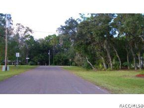 243 E Buckingham Dr, Lecanto, FL 34461 photo 18
