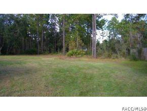 243 E Buckingham Dr, Lecanto, FL 34461 photo 19