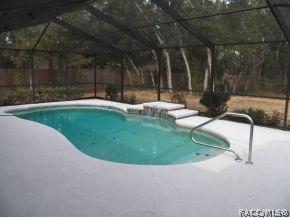 243 E Buckingham Dr, Lecanto, FL 34461 photo 2