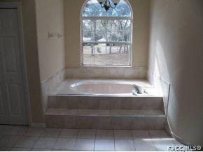 243 E Buckingham Dr, Lecanto, FL 34461 photo 14