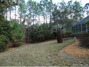 4051 N Mayan Dr, Hernando, FL 34442 photo 23