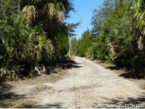 11076 N Andrion Path, Inglis, FL 34449 photo 20