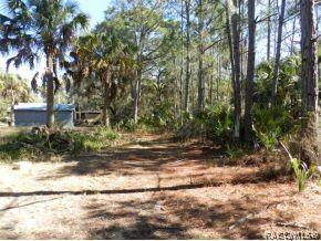 11076 N Andrion Path, Inglis, FL 34449 photo 5