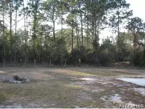 186 E Neeld, Inglis, FL 34449 photo 2