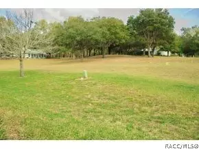 225 E Leon Lp, Hernando, FL 34442 photo 15