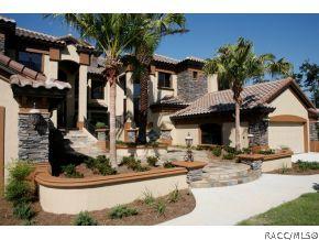 1103 W Pointe Vista Path, Hernando, FL 34442 photo 1