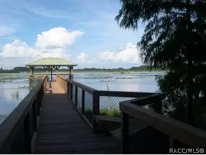 3954 E Lake Hernando Ln, Hernando, FL 34442 photo 7