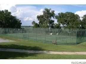 3954 E Lake Hernando Ln, Hernando, FL 34442 photo 10
