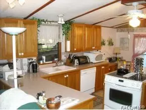 331 S Thompson Ave, Lecanto, FL 34461 photo 6