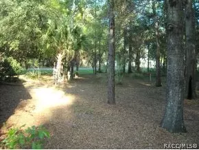 331 S Thompson Ave, Lecanto, FL 34461 photo 13