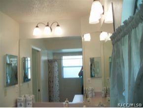 467 N Turkey Pine Loop, Lecanto, FL 34461 photo 19